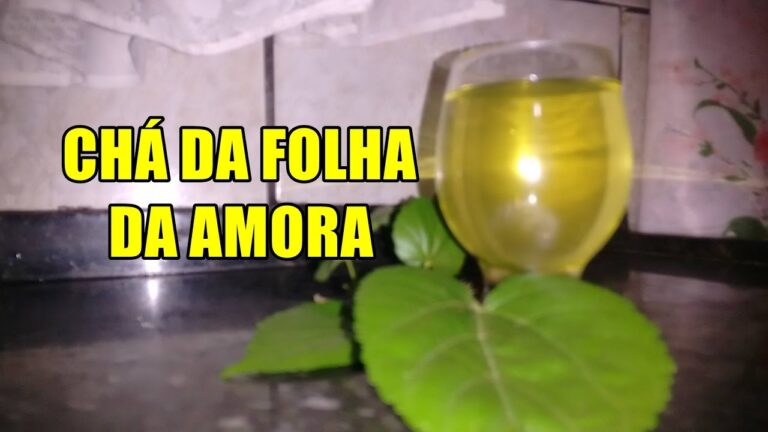 Receita de Ch&aacute; de Folha de Amora: Benef&iacute;cios e Preparo