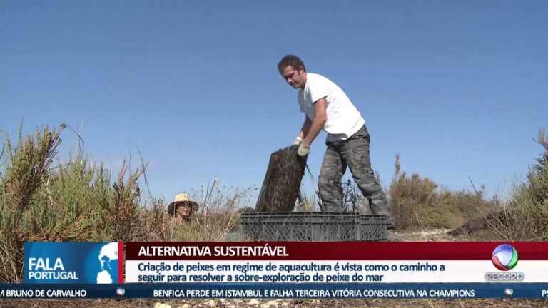 O crescimento da tilápia em Portugal: uma análise otimizada