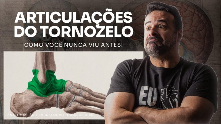 Articula&ccedil;&atilde;o Tibio T&aacute;rsica: Anatomia e Fun&ccedil;&atilde;o