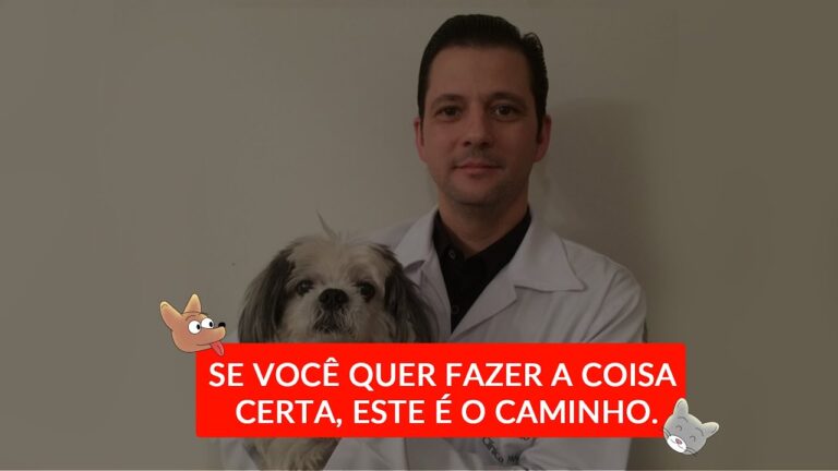 Entendendo os Leuc&oacute;citos Altos em C&atilde;es: Causas e Tratamentos