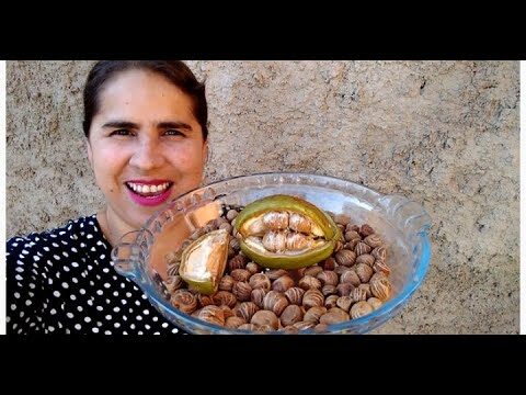 Castanha do Maranh&atilde;o Torrada: Benef&iacute;cios e Receitas