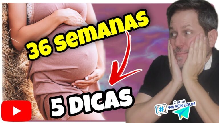 Entendendo as Contra&ccedil;&otilde;es aos 36 Semanas de Gesta&ccedil;&atilde;o