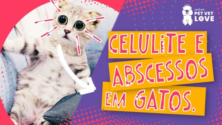 Abscesso Facial em Gatos: Causas e Tratamentos