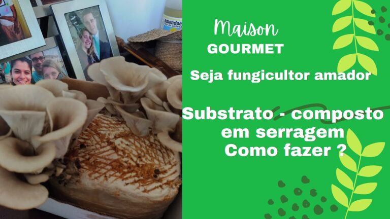 Benef&iacute;cios do Farelo de Trigo no Continente: Um Guia Completo