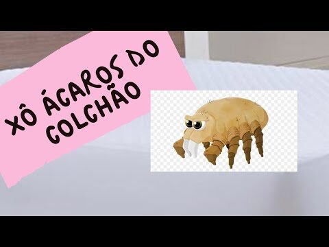 Como se livrar dos &aacute;caros no colch&atilde;o
