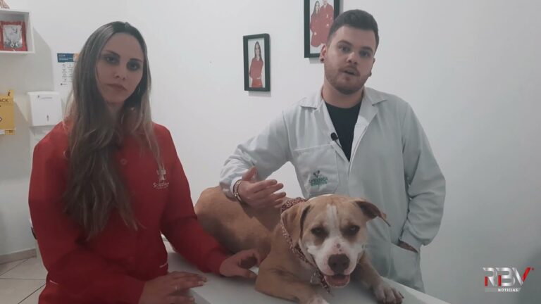 Problemas de pele em c&atilde;es: Causas e Tratamentos