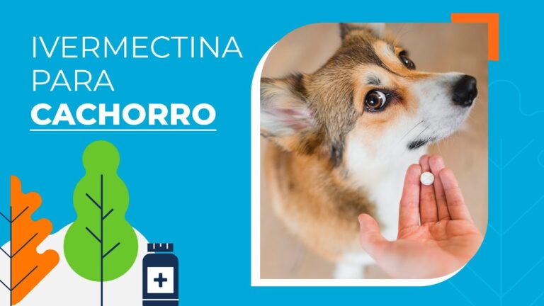 Guia Completo da Ivermectina em Portugal: Informa&ccedil;&otilde;es da Bula