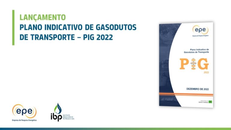 Guia Completo do Indicativo 273
