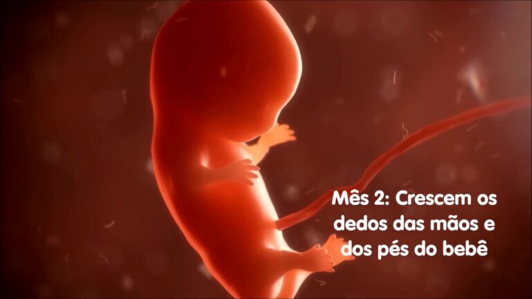 Imagens impressionantes: Fotos de beb&ecirc; no &uacute;tero