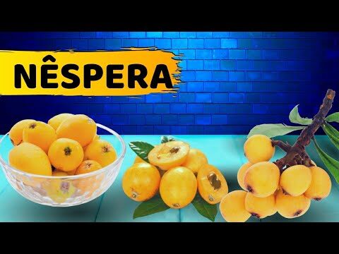 N&ecirc;speras: Descubra as Calorias e Benef&iacute;cios desta Fruta Deliciosa