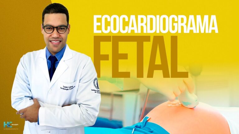 Pre&ccedil;o do Ecocardiograma Fetal: O Que Voc&ecirc; Precisa Saber