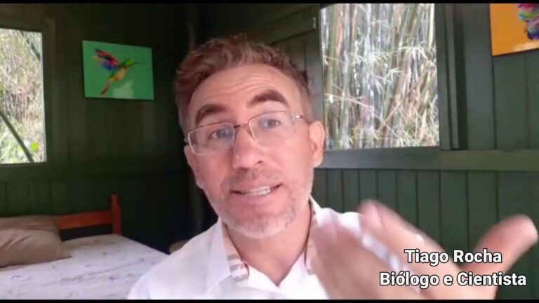 Os Melhores Protetores de Est&ocirc;mago Naturais