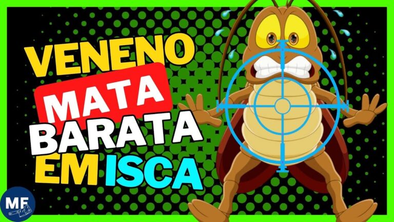 O Melhor Veneno para Baratas Pequenas