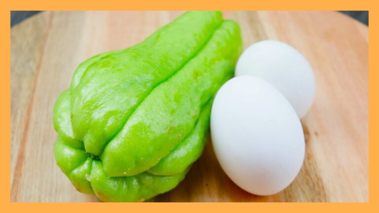 Deliciosas receitas com chuchu e ovo