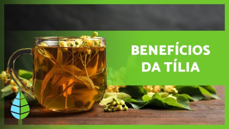 Os Benef&iacute;cios do Ch&aacute; de T&iacute;lia