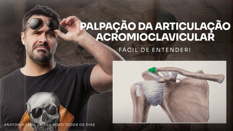 Articula&ccedil;&atilde;o Acromioclavicular: Anatomia, Les&otilde;es e Tratamentos
