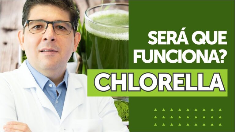 Onde Comprar Chlorella: Guia Completo de Op&ccedil;&otilde;es e Pre&ccedil;os