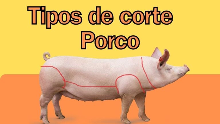 Partes do Porco Ideais para Cortes