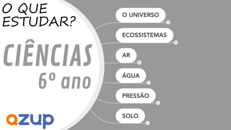 Explorando o Bichinho do Saber no 6&ordm; Ano