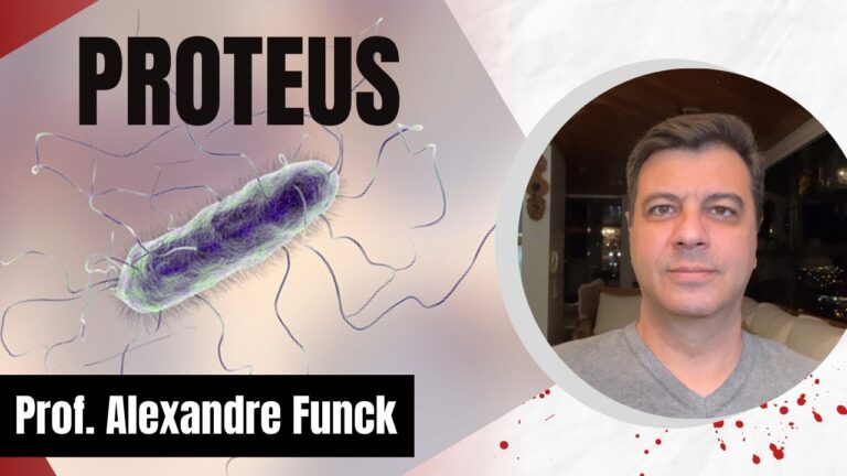 Proteus mirabilis: o que &eacute; e como se contagia