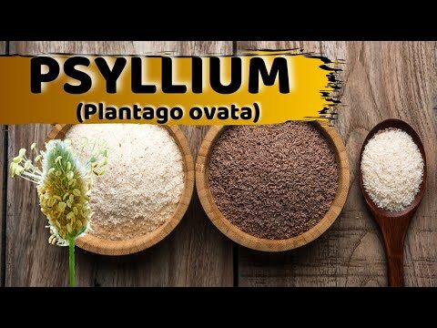 Benef&iacute;cios do Laxante Formador de Massa para a Sa&uacute;de Digestiva