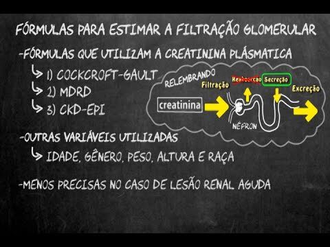 Calculo da Taxa de Filtra&ccedil;&atilde;o Glomerular: Guia Completo
