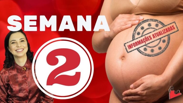 Ecografia de Gravidez: 2 Semanas