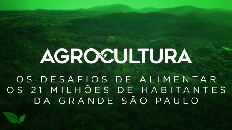 Os Surpreendentes Benef&iacute;cios do Chocolate 70% Cacau