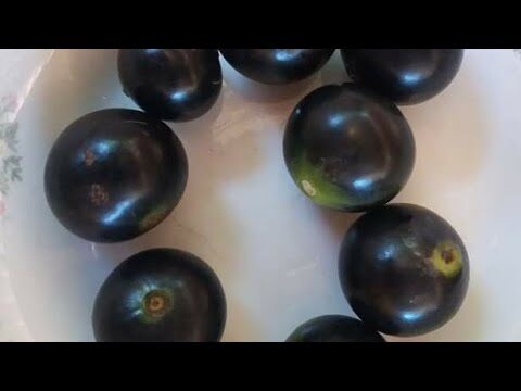 Marmelada: Benefícios para o Fígado