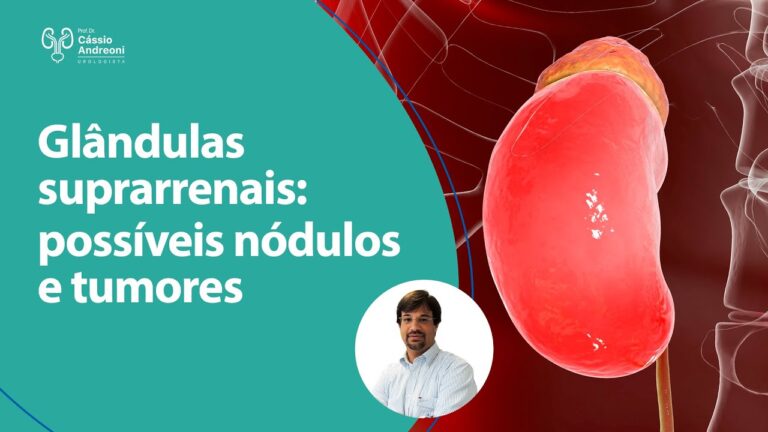Problemas nas Gl&acirc;ndulas Supra-renais: Causas e Solu&ccedil;&otilde;es