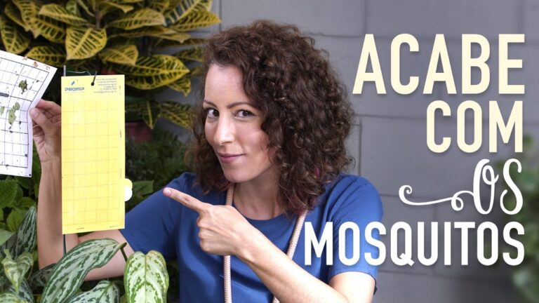 Como se livrar de mosquitos nas plantas