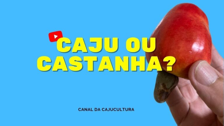 Benef&iacute;cios do Caju como Fruto Seco