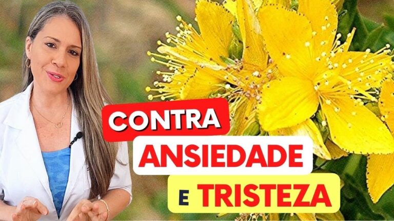Chá de hipericão: o segredo para emagrecer