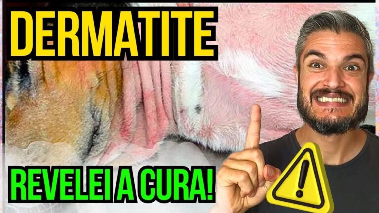 Como Tratar Borbulhas na Pele dos C&atilde;es
