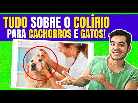 Col&iacute;rio Antiinflamat&oacute;rio: Benef&iacute;cios e Utiliza&ccedil;&atilde;o