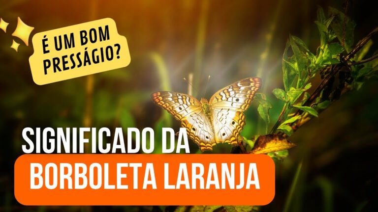 O Significado da Borboleta Laranja