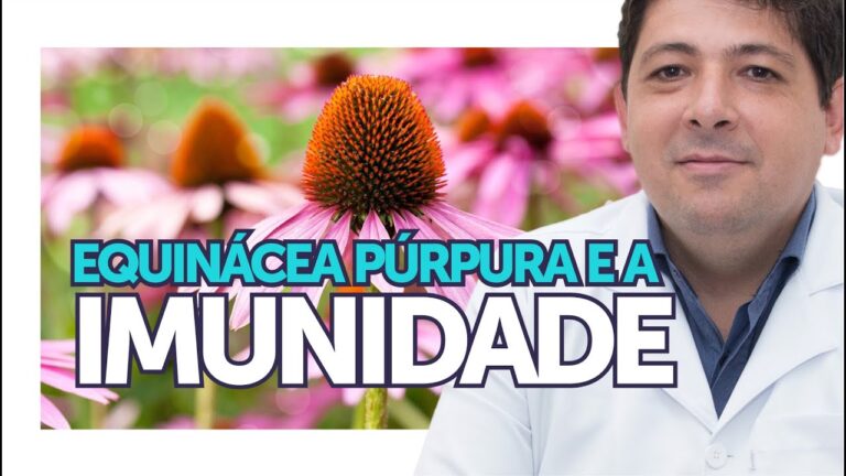 Benef&iacute;cios da Equin&aacute;cea e Pr&oacute;polis: Para Que Servem?