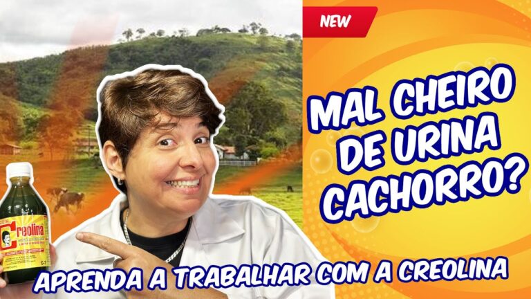 Creolina: Benef&iacute;cios e Usos Essenciais