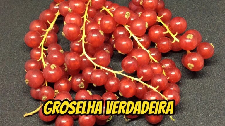 Riscos do Xarope de Groselha: O Que Voc&ecirc; Deve Saber
