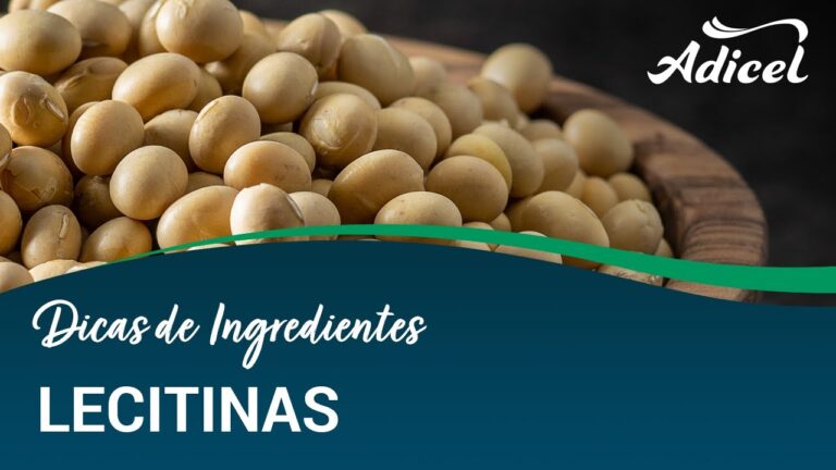 Benef&iacute;cios da lecitina de girassol: Para que serve?