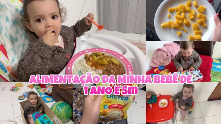 Guia para Alimenta&ccedil;&atilde;o de Beb&ecirc;s de 1 Ano