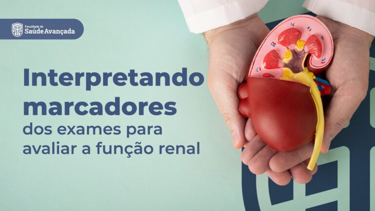 Avaliação da função renal: exames essenciais