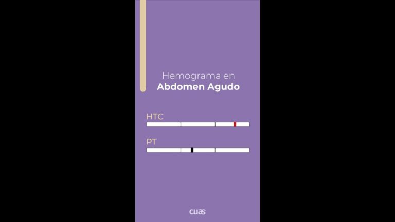 Entendendo o HTC e Hemograma: O Que Voc&ecirc; Precisa Saber