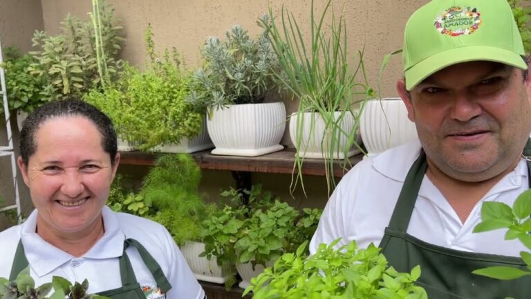 O Poder da Basilico Planta: Benef&iacute;cios e Usos