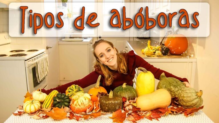 Guia dos Diferentes Tipos de Abóboras