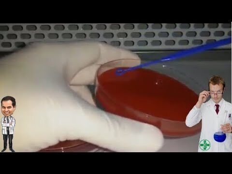 Resultado Negativo na Espermocultura: O Que Significa?