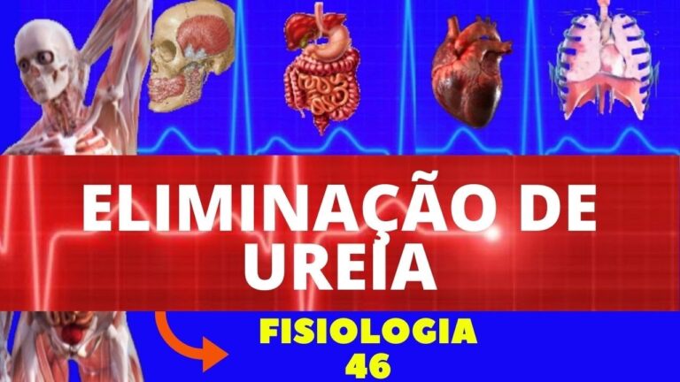 Importância do Clearance de Ureia na Saúde Renal