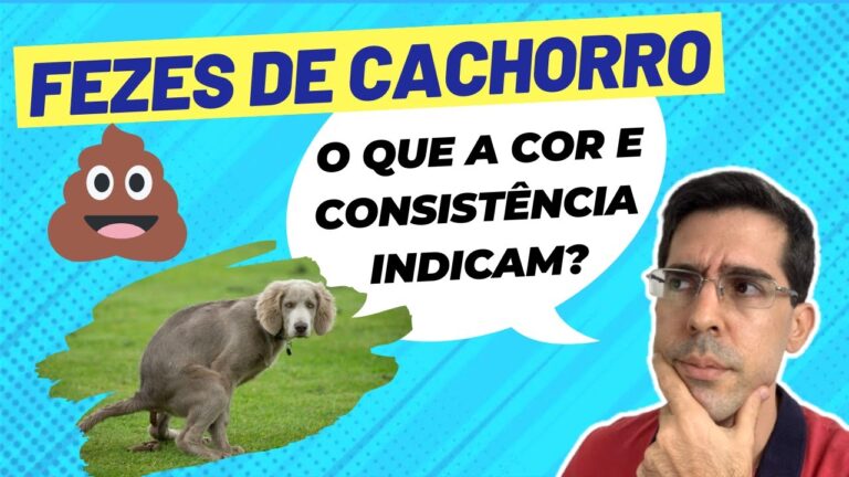 Tratando a Diarreia Verde em C&atilde;es