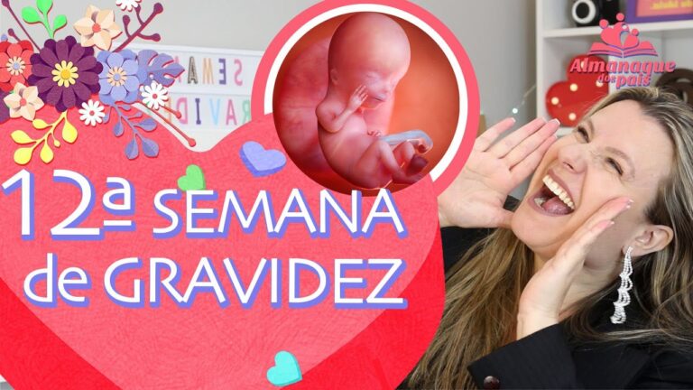 Barriga Gr&aacute;vida: Tudo o Que Precisa Saber aos 12 Semanas