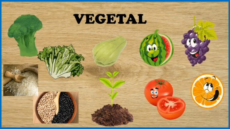 Explorando Atividades sobre Alimentos de Origem Animal, Vegetal e Mineral